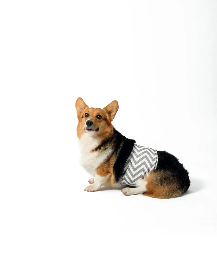 M-Pets Male Washable Diapers For Dogs