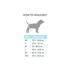 M-Pets Male Washable Diapers For Dogs
