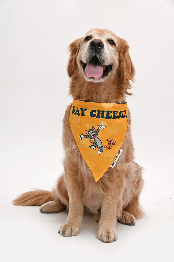 Mutt of Course Tom & Jerry Say Cheese Bandana For Dogs