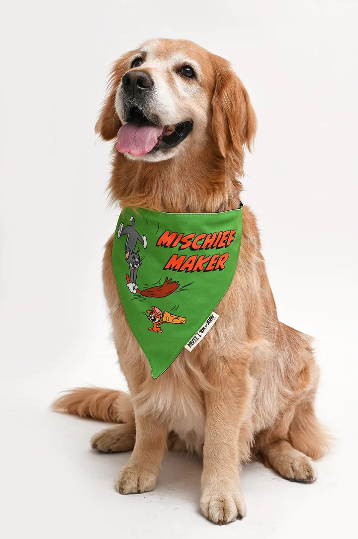 Mutt of Course Tom & Jerry Mischief Maker Bandana For Dogs