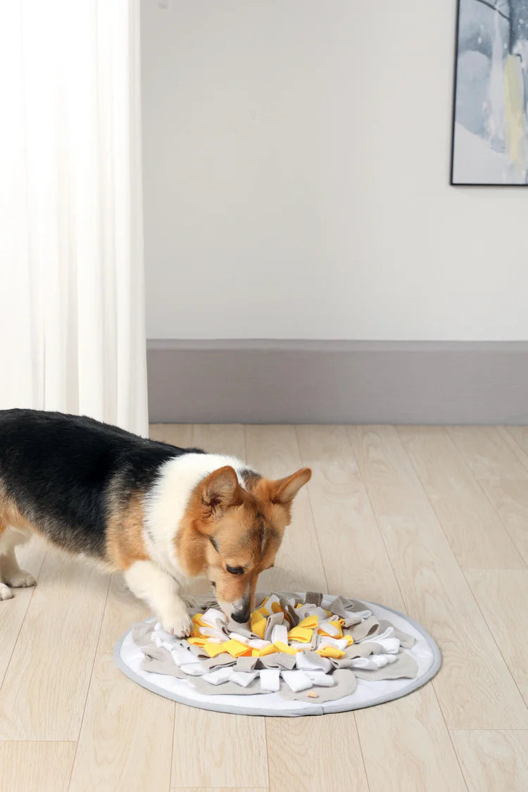 M-Pets Stratege Snuffle Mat Round 50 x 2 cm