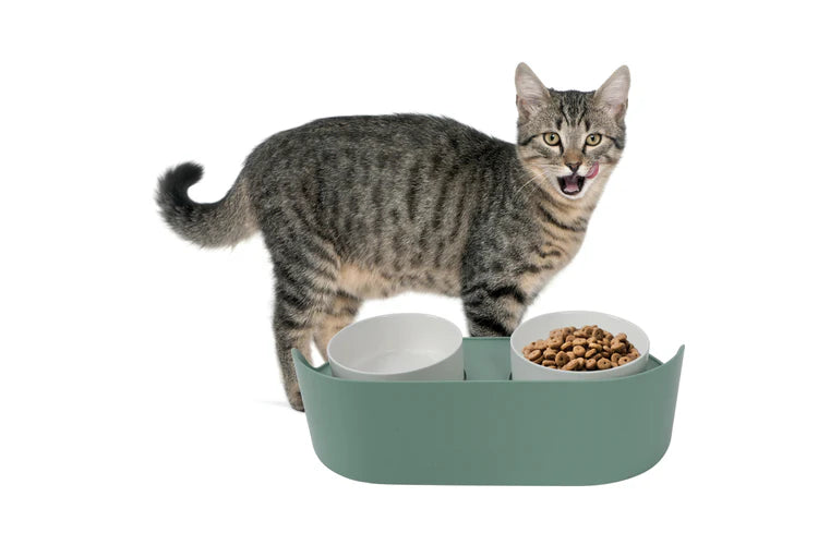 M-Pets Altitiude Double Raised Bowl 2x450ml