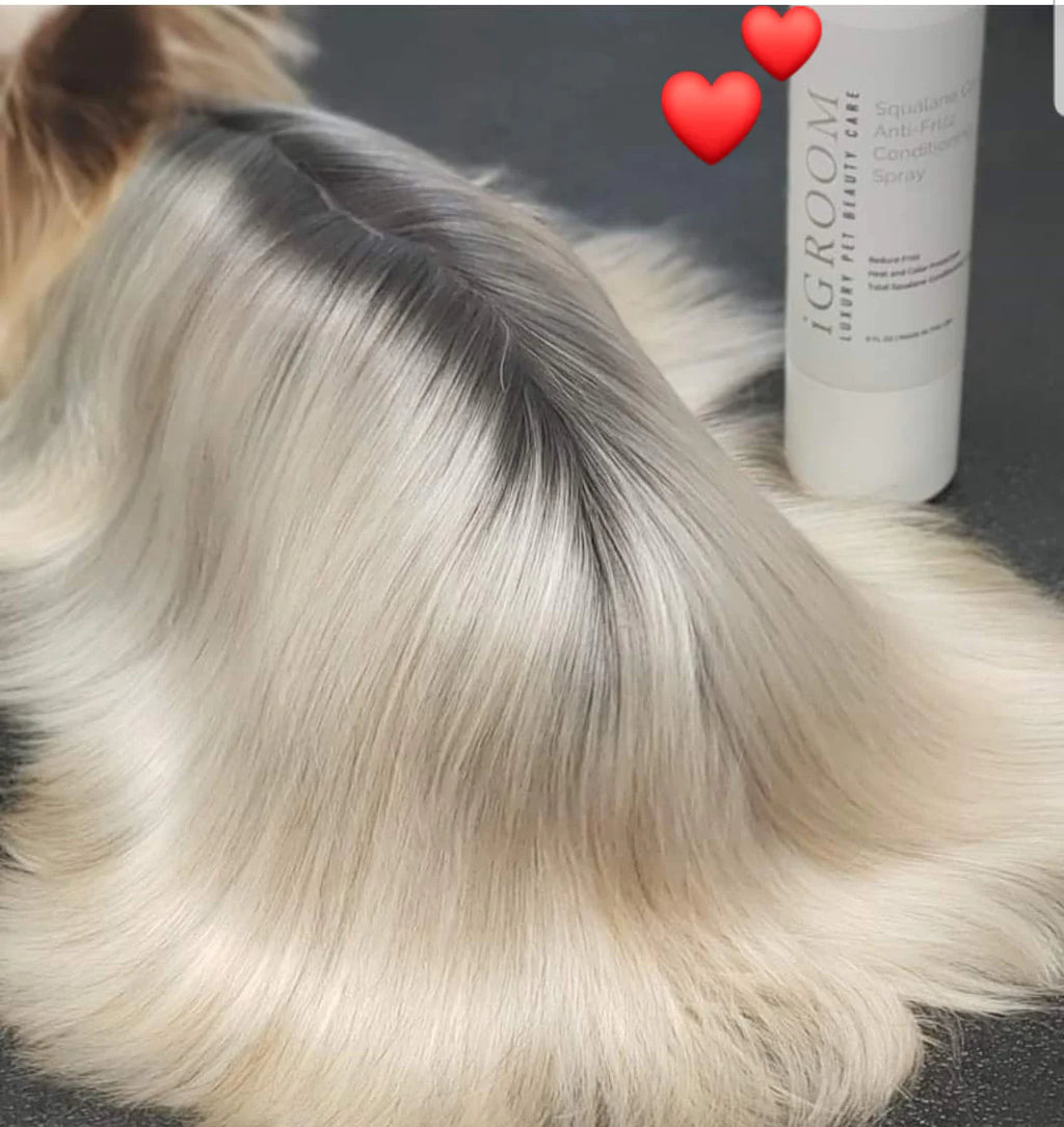 iGroom Squalane Antifrizz Conditioning Pet Spray 177ml