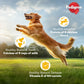 Pedigree Vegetarian & Sustainable Dry Food For Dogs & Puppy