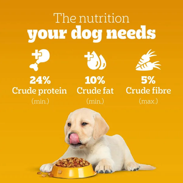 Pedigree Puppy Dry Dog Food Chicken & Milk