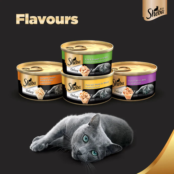 Sheba Deluxe Tuna and Prawn in Gravy Wet Cat Food 85g