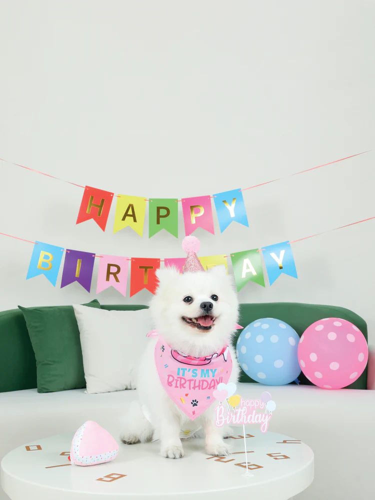 M-Pets Party Time Lady's Set