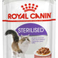 Royal Canin Sterilised Gravy Salsa Wet Food 85gm