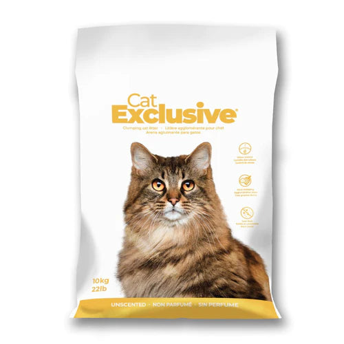 Intersand Cat Exclusive Cat Litter for All Breed 10kg