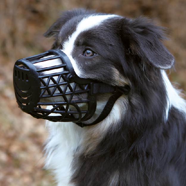 Trixie Muzzle Plastic For Dogs