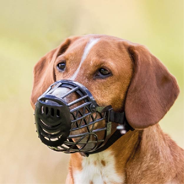 Trixie Muzzle Plastic For Dogs