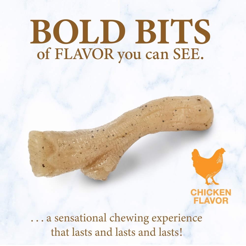 Nylabone Strong Chew Gourmet Style Stick Puppy Chew Toy Chicken Flavor Medium 3 x 13 x 2cm
