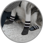 Trixie Dog Socks Non-Slips with All-round Rubber Coating 2pcs