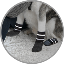 Trixie Dog Socks Non-Slips with All-round Rubber Coating 2pcs