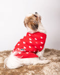 Pet Snugs Red Heart Sweater For Your Furry Friend
