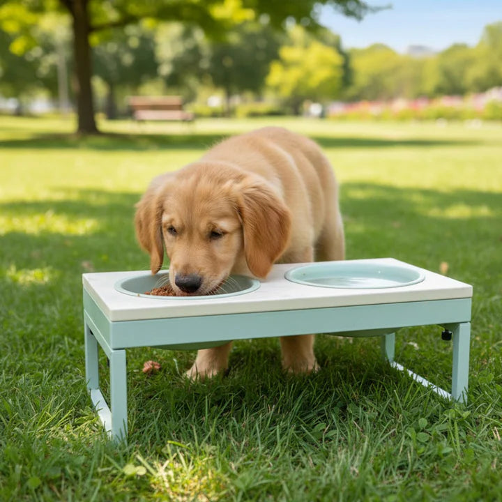 Pawpourri UV Pattern Metal Foldable Leg Dinner Set For Dogs