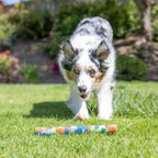 Chuckit EcoFetch Recycled Rubber Fetch Stick Medium