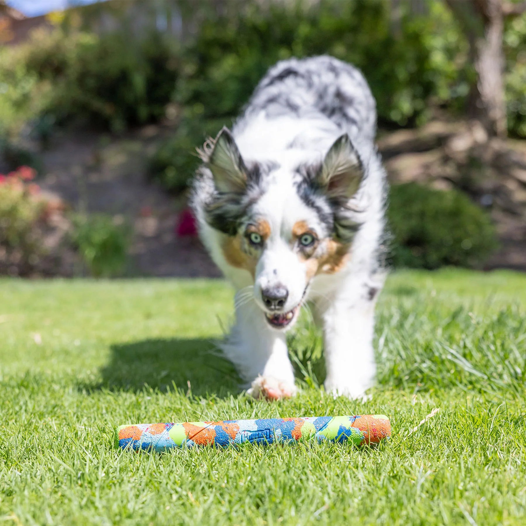 Chuckit EcoFetch Recycled Rubber Fetch Stick Medium