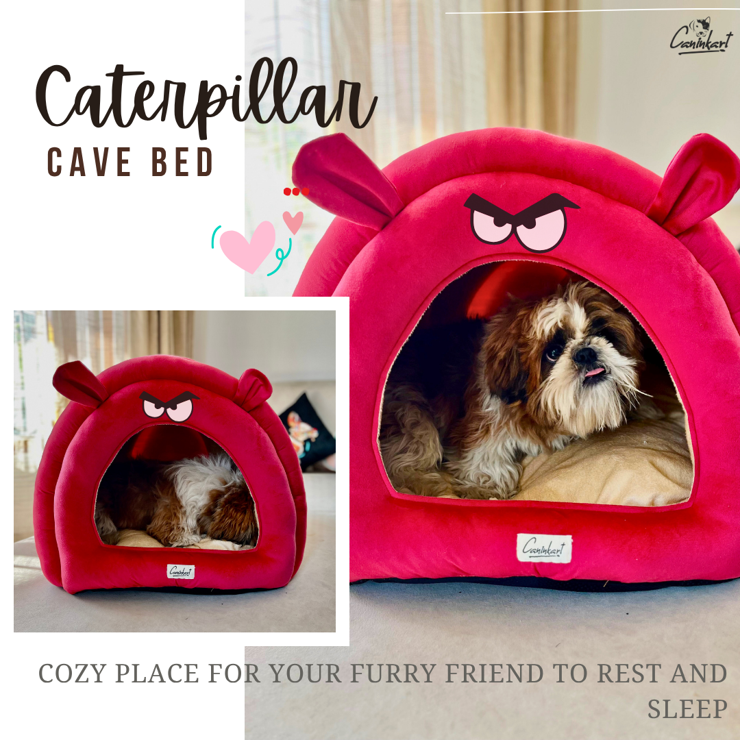 Caninkart Caterpillar Cave Bed For Dogs & Cats Medium Green 52cm x 46cm x 41cm