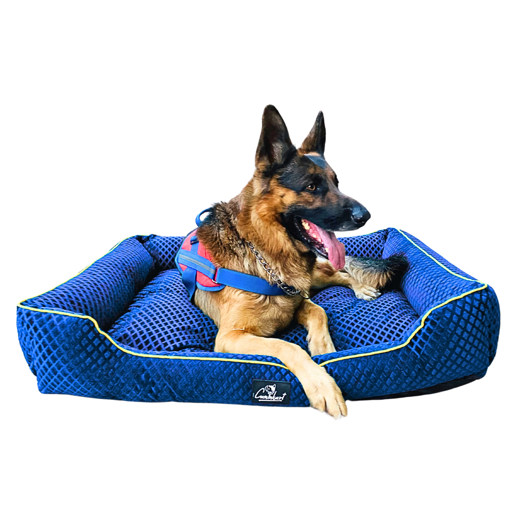 Caninkart Premium Pattern Lounger Bed Blue For Dogs