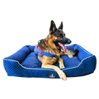 Caninkart Premium Pattern Lounger Bed Blue For Dogs