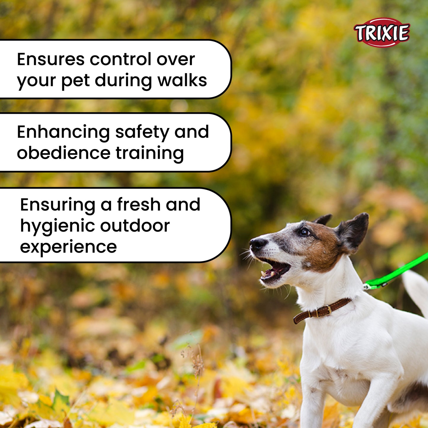 Trixie Premium Leash For Dog Apple M-L 1.00m/20mm