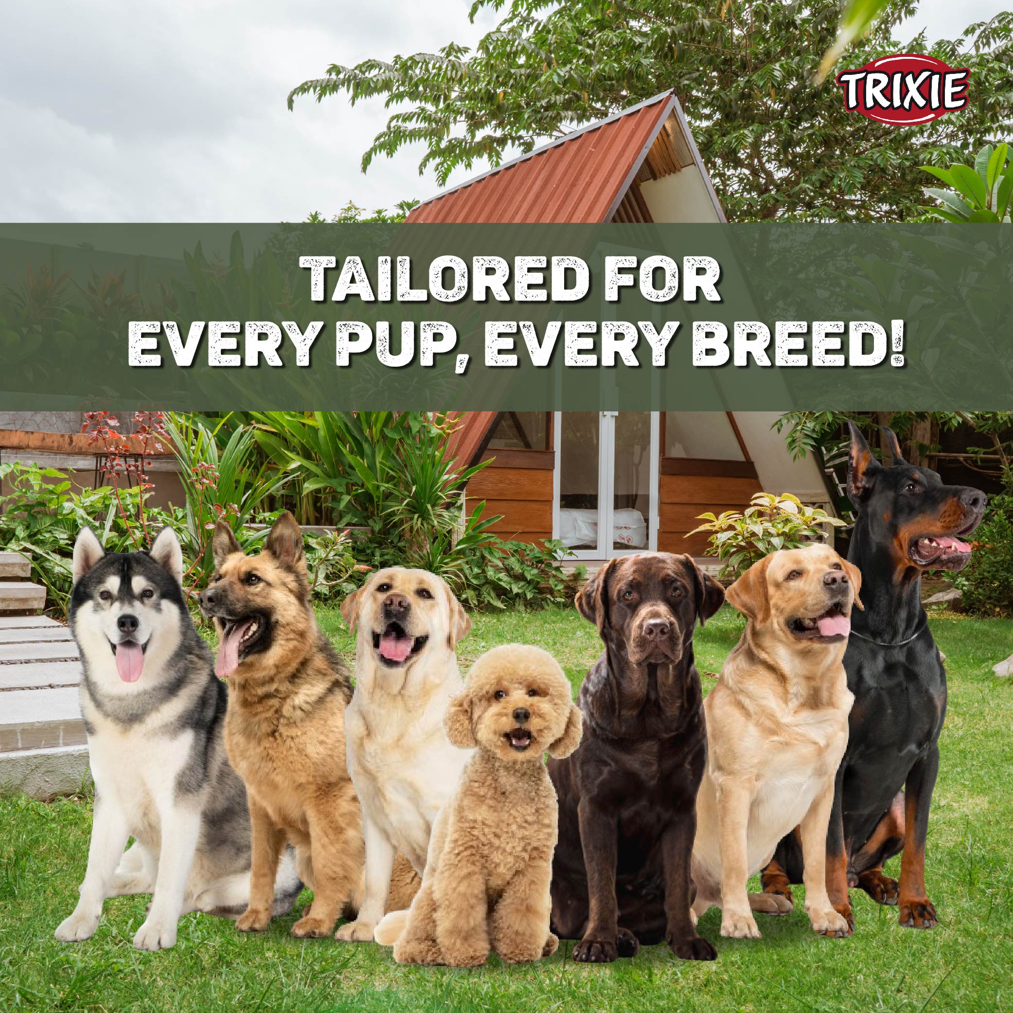 Trixie Premium Leash For Dog Forest Green XS-S 1.20m/15mm