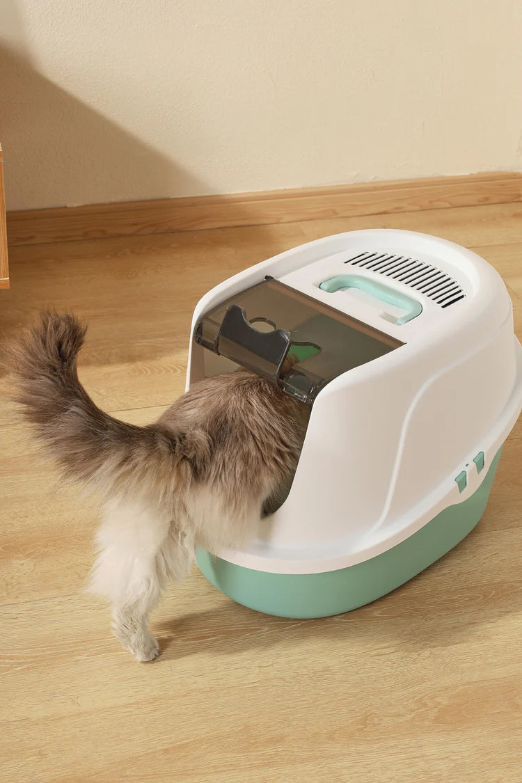 M-Pets Eco Tima Cat Litter Box Sea Green 60.2 x 45.1 x 42.4 cm