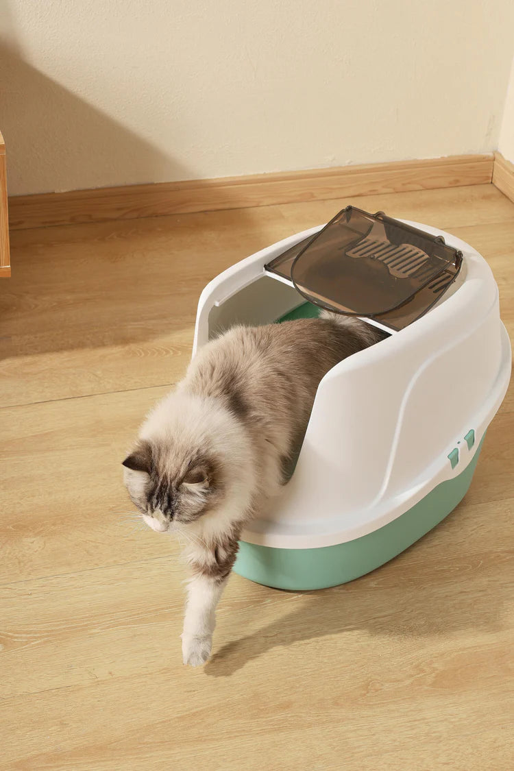 M-Pets Eco Tima Cat Litter Box Sea Green 60.2 x 45.1 x 42.4 cm