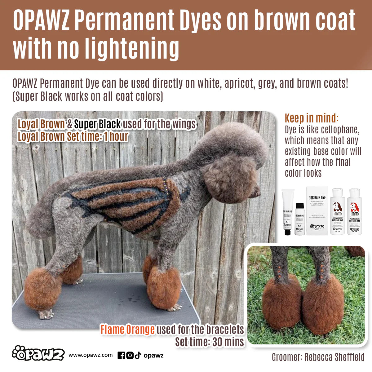 Opawz Permanent Pet Hair Dye Loyal Brown 235g