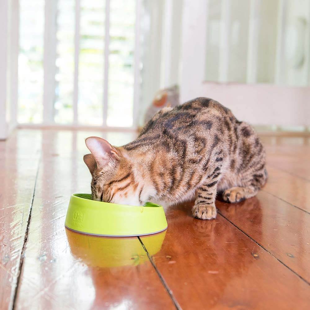 LickiMat OH Bowl For Cat 250ml
