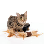 M-Pets Natura Rolls Toy for Cats