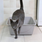 Petmate Basic Cat Litter Pan Large 41.17 x 38.98 x 12.7cm