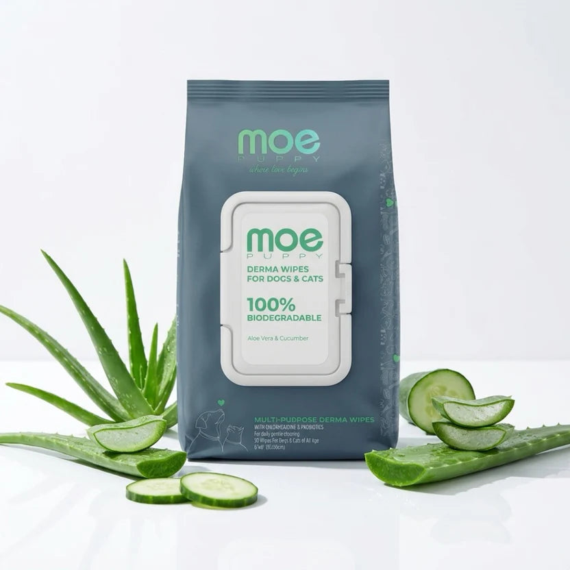 Moe Puppy Multipurpose Derma Wipes Cruelty Free and Plant Based Formula for Dogs & Cats 15x20cm 50pc