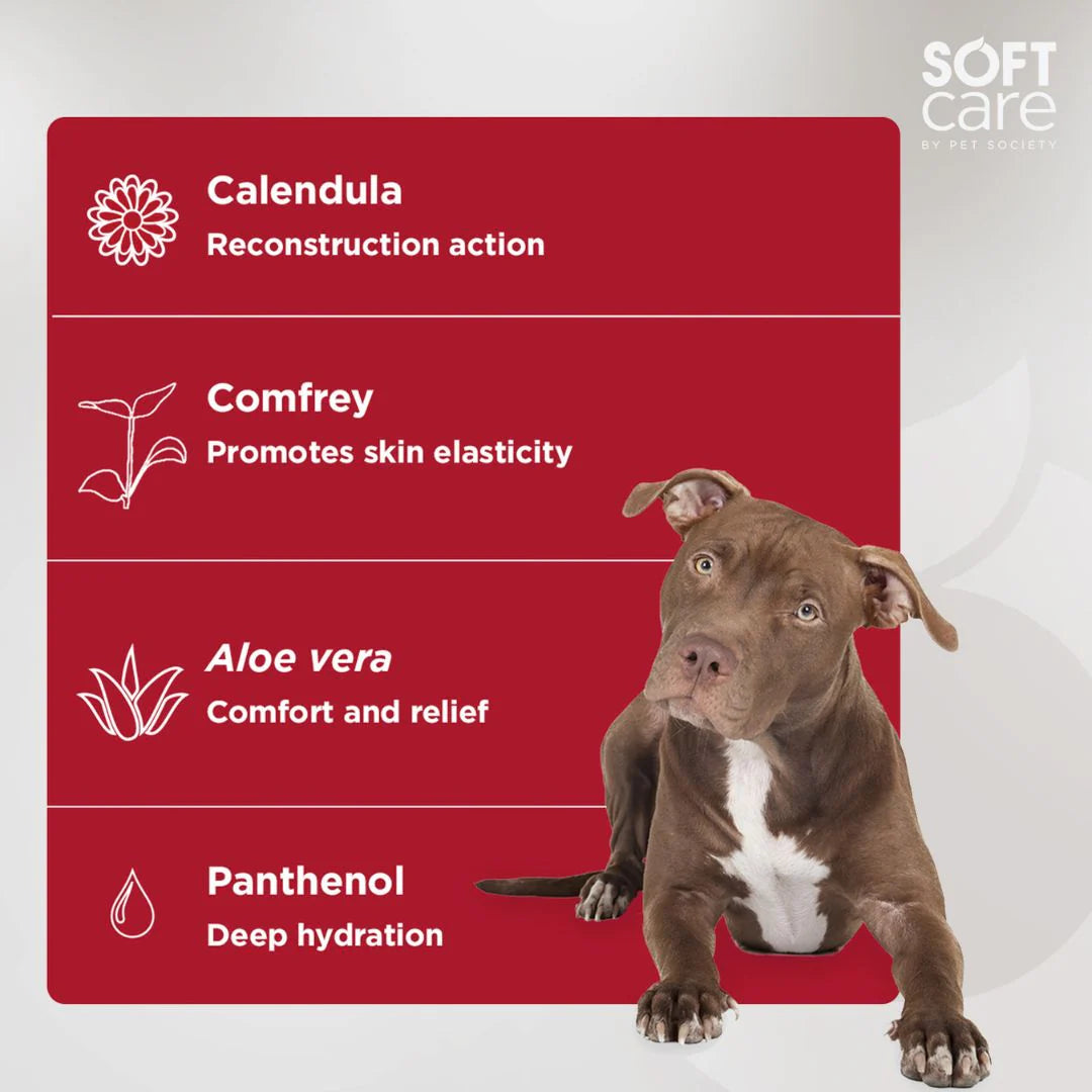 Soft Care Psk Repair System For Dogs & Cats 50G
