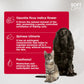 Soft Care Shampoo Skin Balance For Dogs & Cats 300Ml