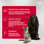 Soft Care Shampoo Skin Balance For Dogs & Cats 300Ml