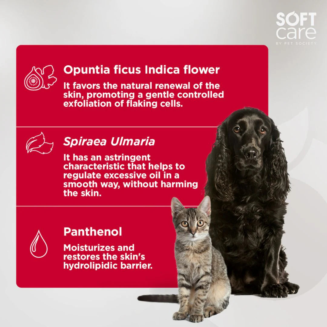 Soft Care Shampoo Skin Balance For Dogs & Cats 300Ml