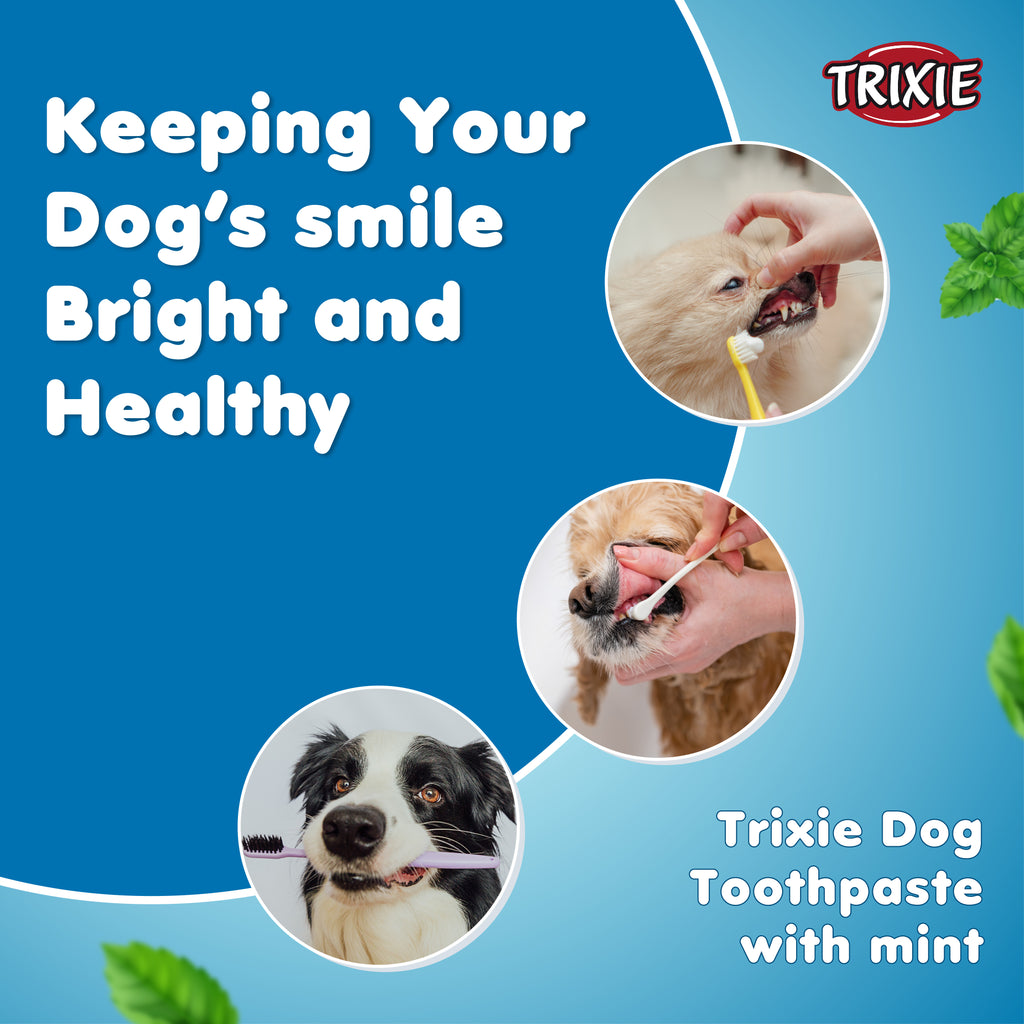 Trixie Dental Care Dog Toothpaste with Mint 100gm