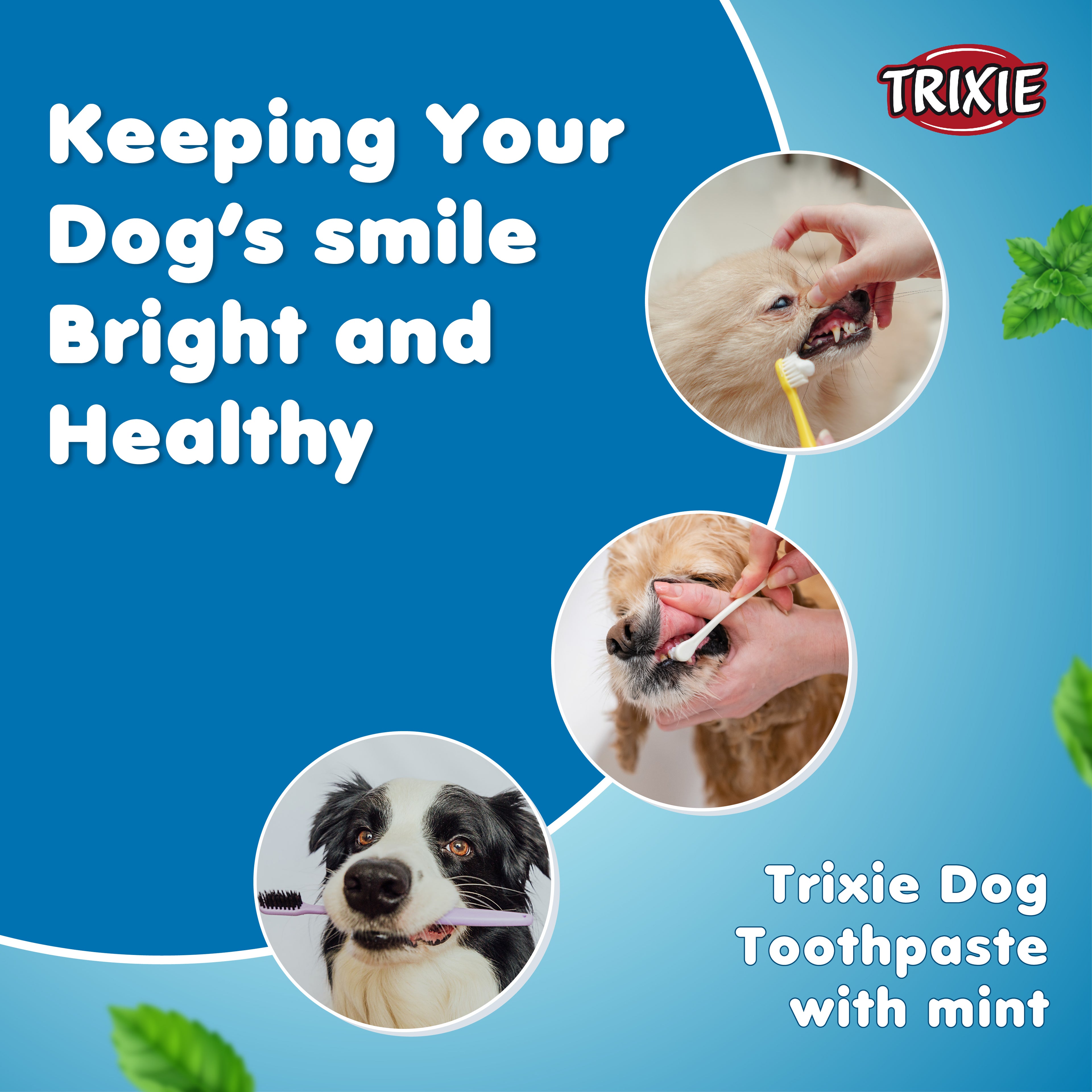 Trixie Dental Care Dog Toothpaste with Mint 100gm