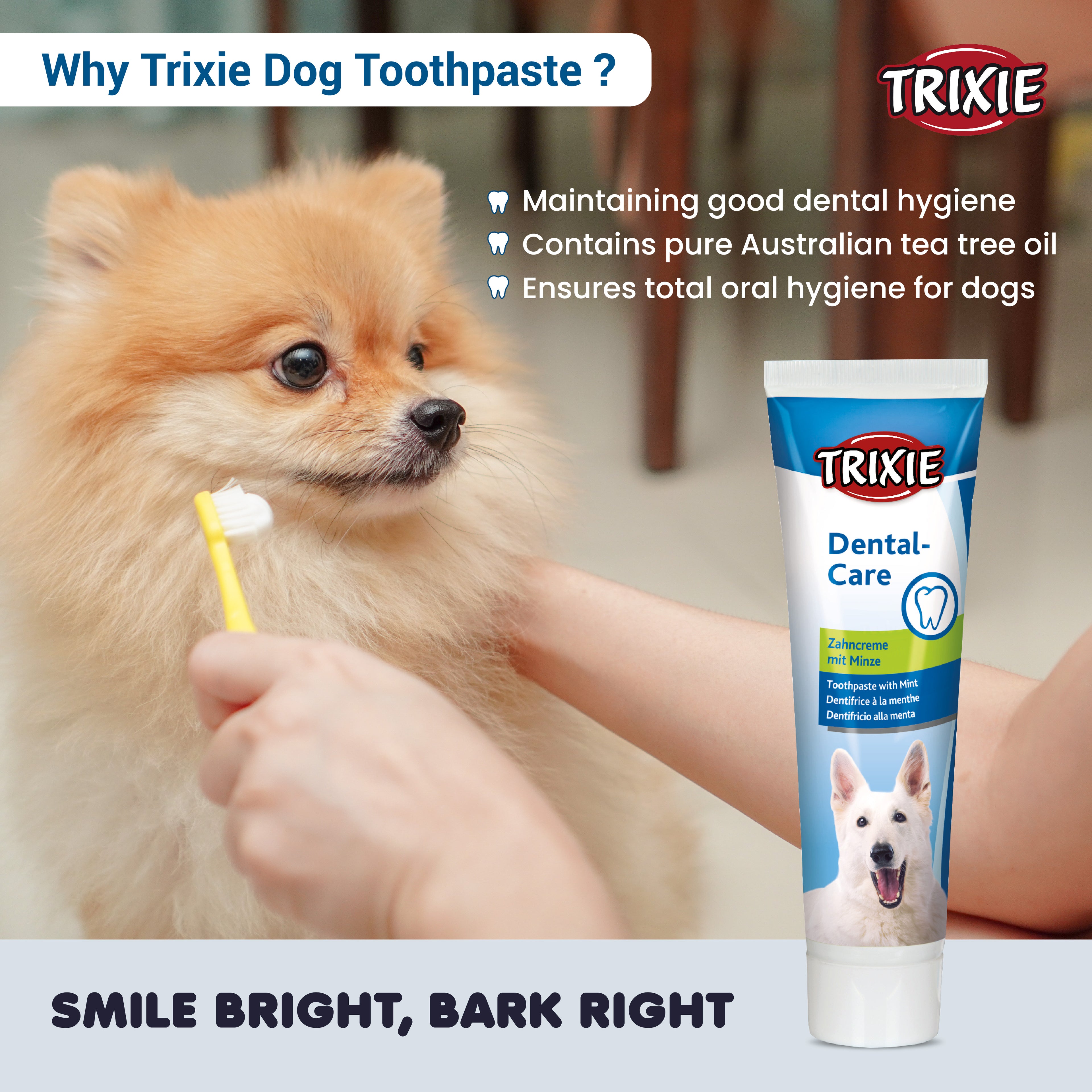 Trixie Dental Care Dog Toothpaste with Mint 100gm