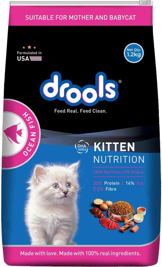Drools Kitten Dry Cat Food Ocean Fish 1.2Kg With Free Container