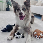 Gigwi Zoomin’ Friends Lemur Squeak Dog Toy 15.24 x 12.70 x 6.99cm