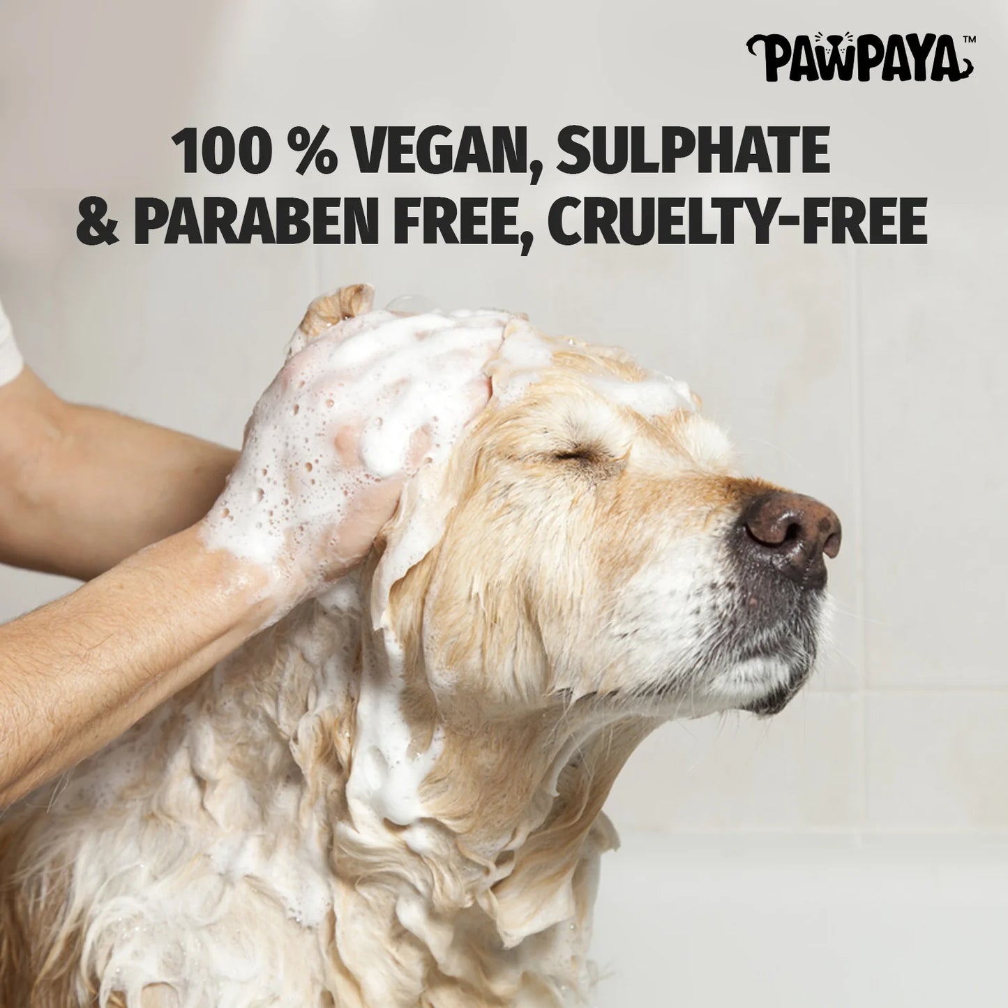 Pawpaya Waterless Shampoo For Dogs 250ml