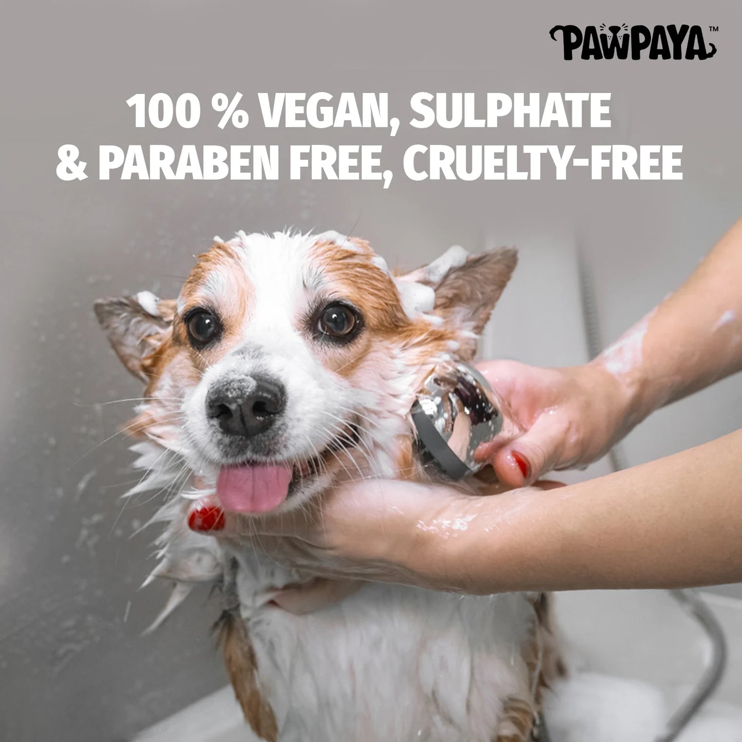 Pawpaya Long Coat Shampoo For Dogs 250ml