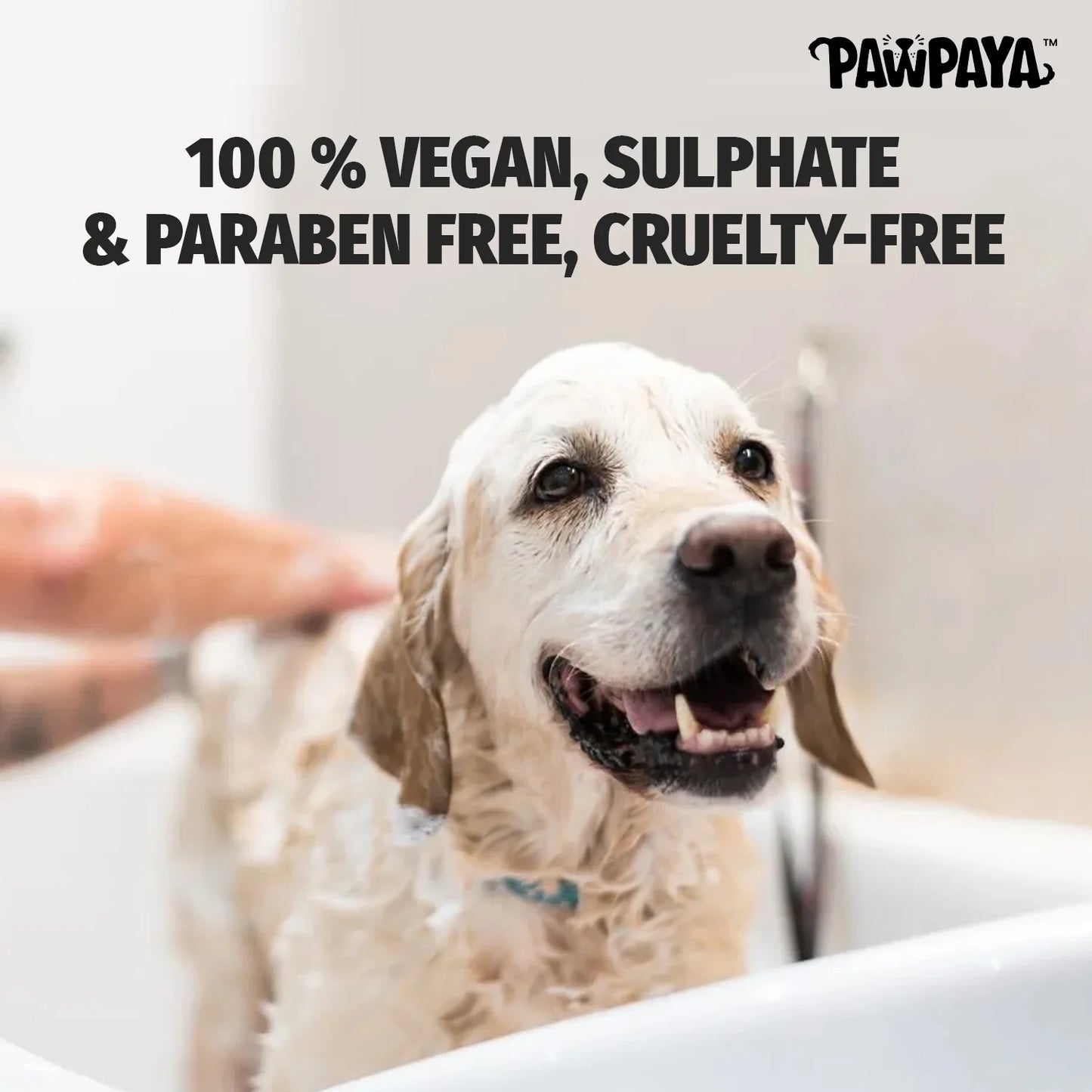 Pawpaya Anti-Itch Shampoo For Dogs 250ml