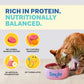 Smylo Kitten Tuna Salmon, Pumpkin, Fresh & No-Preservative Wet Cat Food 70g
