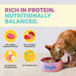 Smylo Adult Chicken & Liver, Pomegranate, Fresh & No-Preservative Wet Cat Food 70g