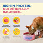 Smylo Adult Mackerel Kanikama & Cranberry, Fresh & No-Preservative Wet Cat Food 70g