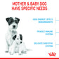 Royal Canin Starter Mini Mother & Baby 1-2 Months Dry Dog Food